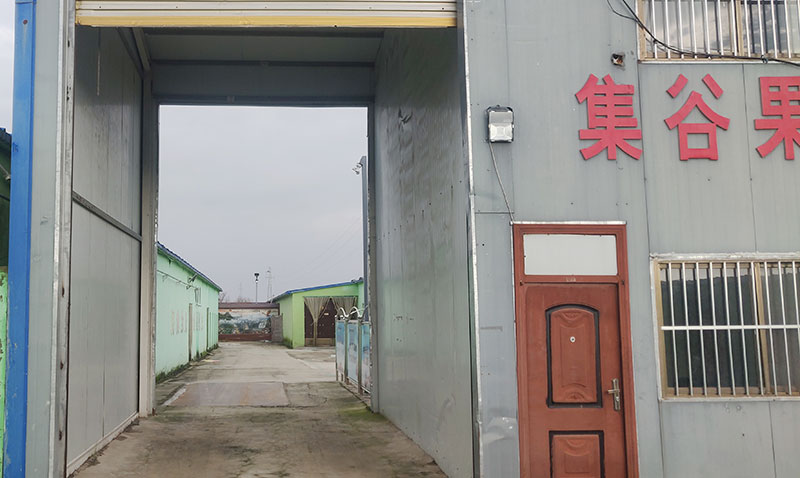 厂房厂貌