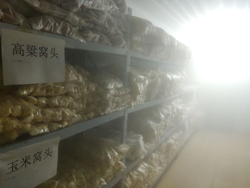 厂房厂貌